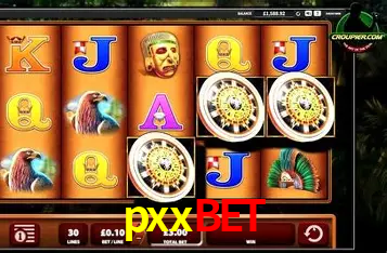 Apostas Esportivas na pxxbet: Um Guia Completo